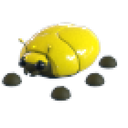 Giant Gold Scarab